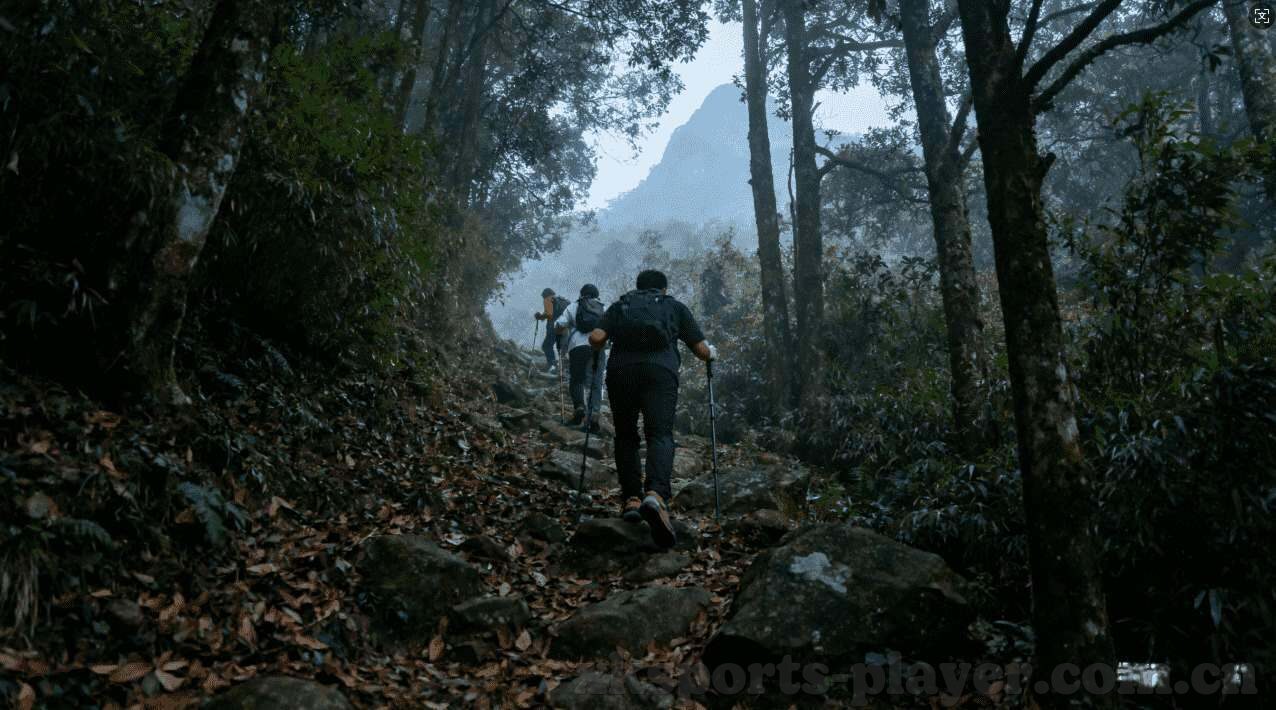 什么网站能竞猜世界杯-世界杯竞猜新体验,探索安全、合法的在线平台